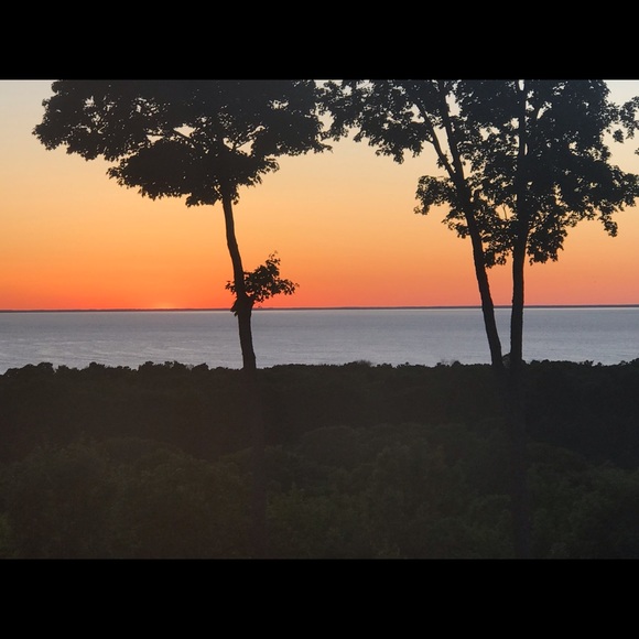 Meet your Posher, Tina - Picture 3 of 3